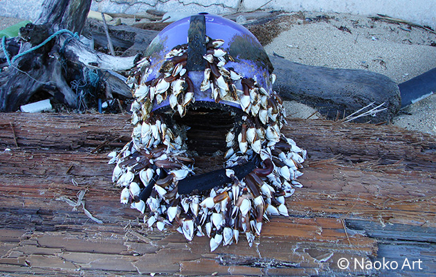 Naoko Otsuka Ecology Art - Helmet and Goose Barnacles