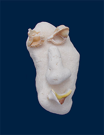 Ecological Artist Naoko Otsuka - Coral Whisper 2