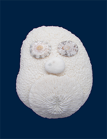 Ecological Artist Naoko Otsuka - Coral Whisper 11