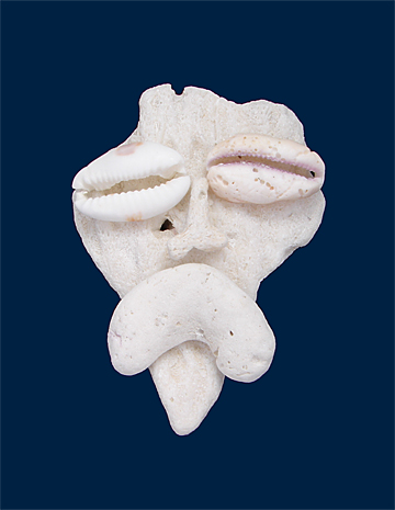 Ecological Artist Naoko Otsuka - Coral Whisper 5