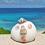Ecological Artist Naoko Otsuka - Ecological Artist Naoko Otsuka - Coral whisper thumbnail
