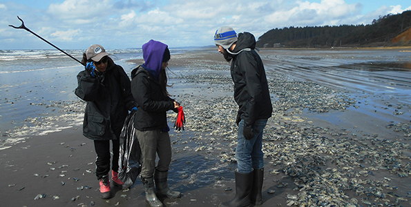 Naoko Otsuka Ecological Artist Research at Ocean Shores 1