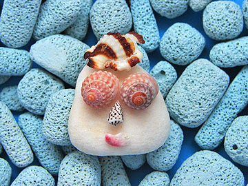 Ecological Artist Naoko Otsuka - Coral Whisper 40