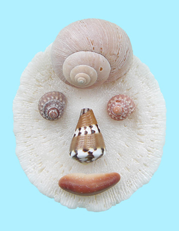 Ecological Artist Naoko Otsuka - Coral Whisper 15