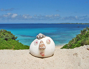 Ecological Artist Naoko Otsuka - Coral Whisper 27