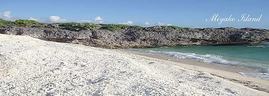 bleached coral